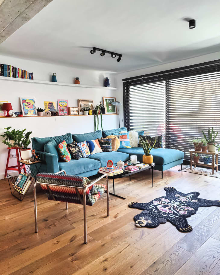 Living room with blue velvet sofa with lots of colorful throw pillows, faux bear rug, colorful patterned metal frame cushioned armchair . wall-width white shelves behind sofa with art, large window, white walls, red stool next to sofa with plant
