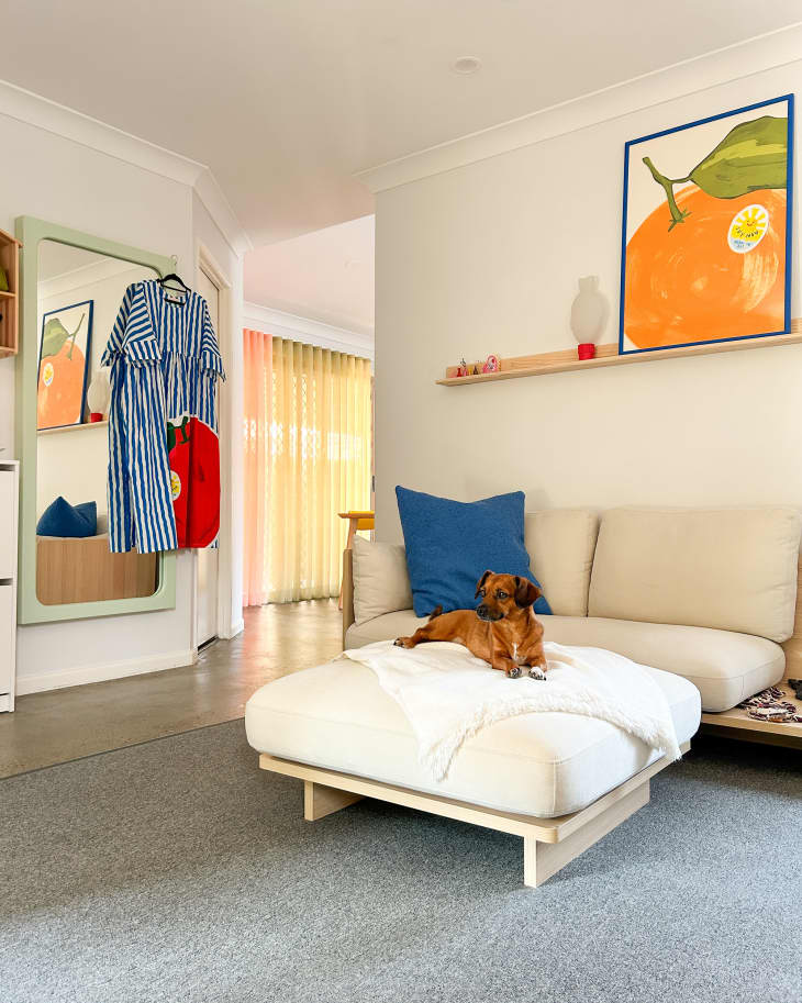 Dog sits on ottoman in colorful room.