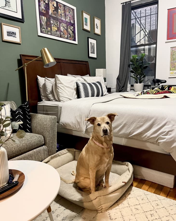 Green bedroom with bed with wood headboard, framed art on walls, and dog in dog bed