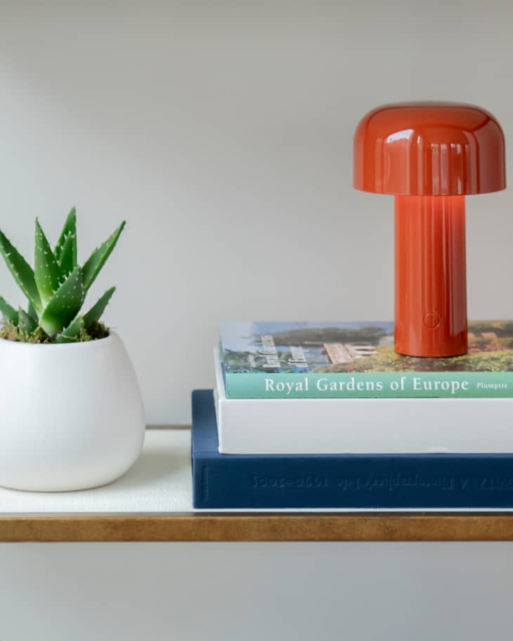 Orange mushroom lamp on stacked books beside a potted aloe plant.