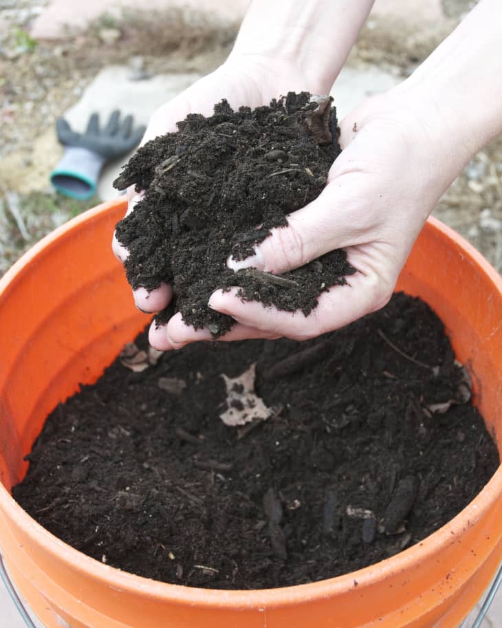 A Guide to Setting up a Simple Backyard Compost System The Kitchn