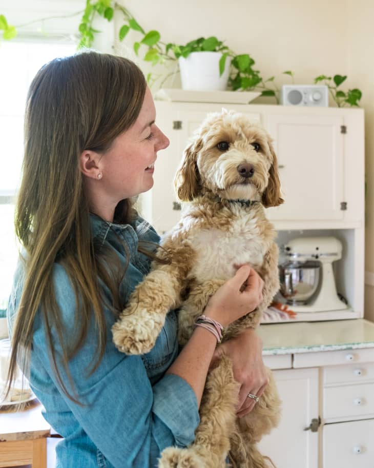 Funny Dog Stories About Food Pets in the Kitchen The Kitchn