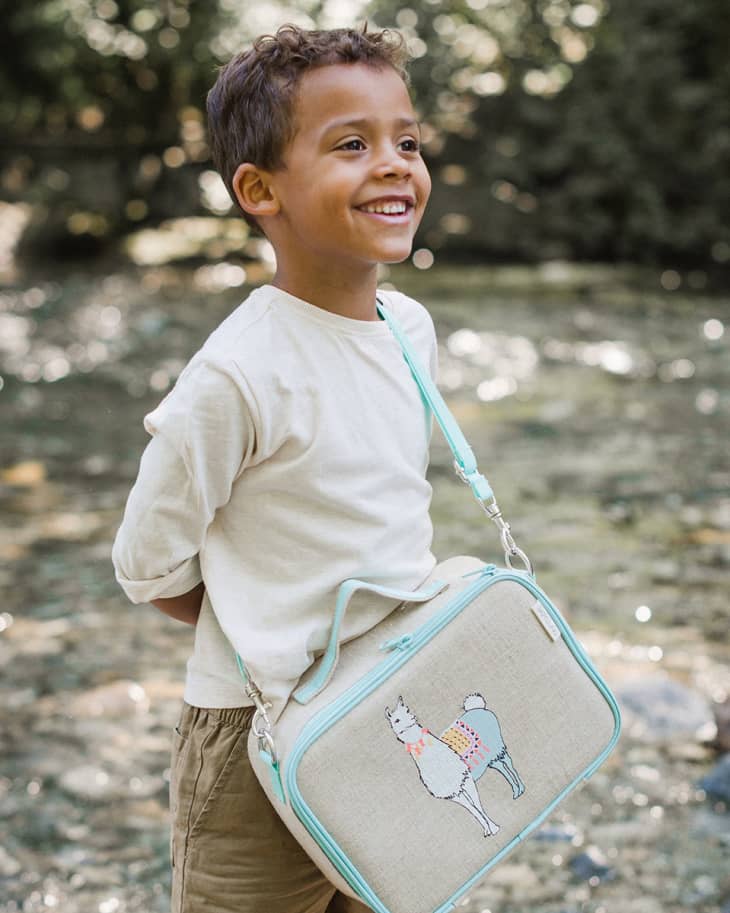 9 Lunch Boxes and Bags That Work Too Well to Be This Cute Cubby