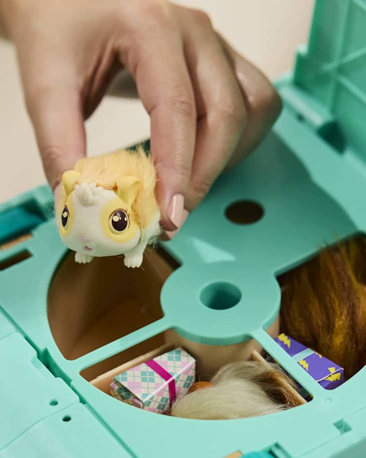 The hottest sale toys