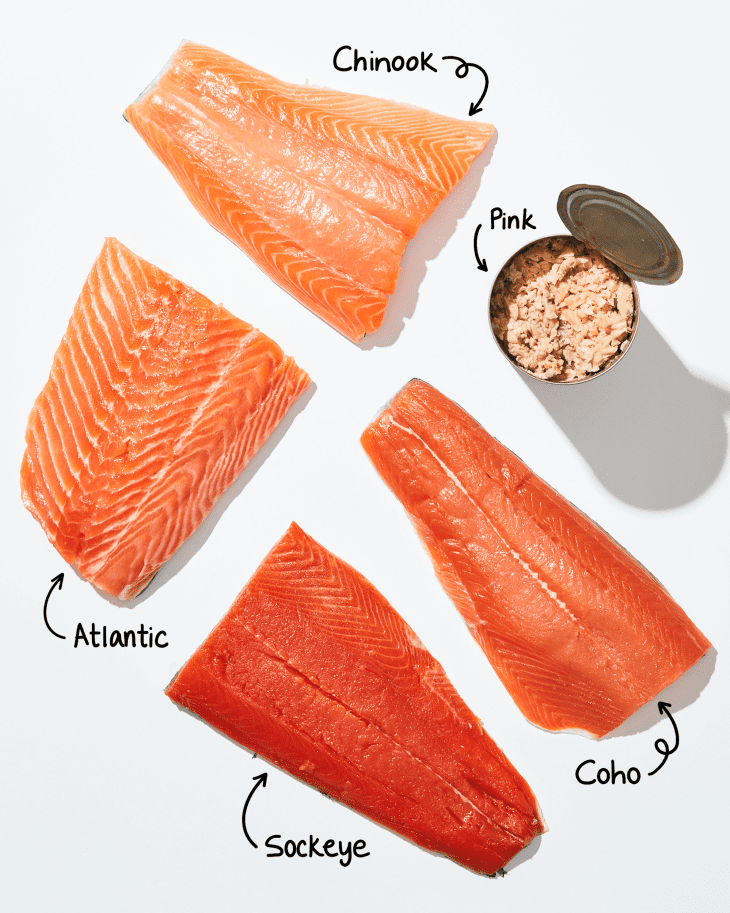 Types of Salmon: A Visual Guide to Wild and Farmed Salmon