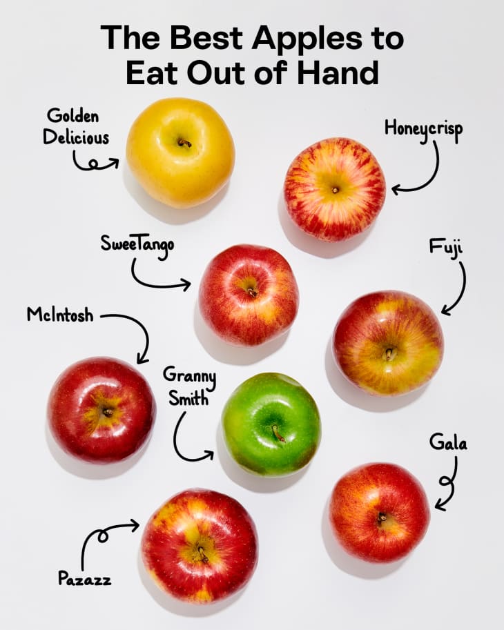 The Best Apples to Eat Out of Hand on a white surface: Golden Delicious, Honeycrisp, SweeTango, Fuji, Macintosh, Granny Smith, Pazazz, Gala