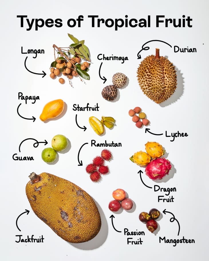 Twelve different types of tropical fruits labeled on a white surface.