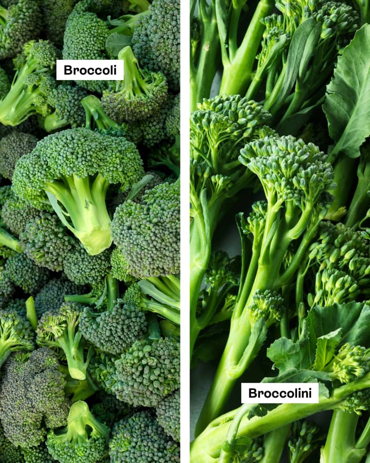 Graphic showing broccoli next to broccolini