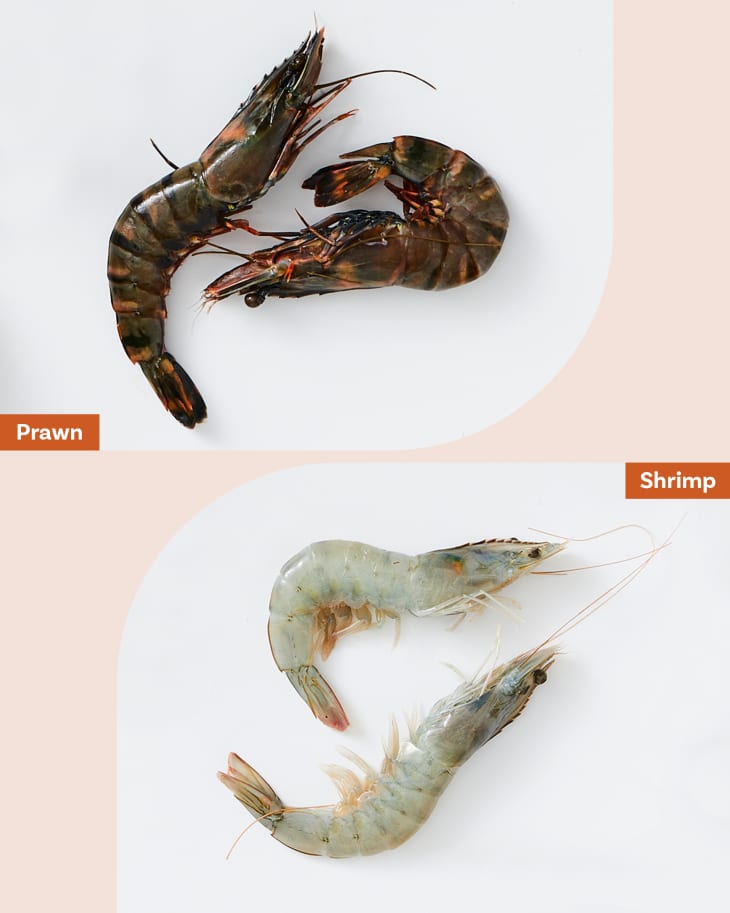side by side graphic showing prawn and shrimp
