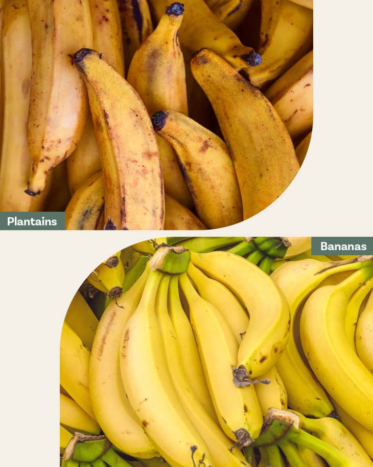 a photo of plantains and a photo of bunches of bananas