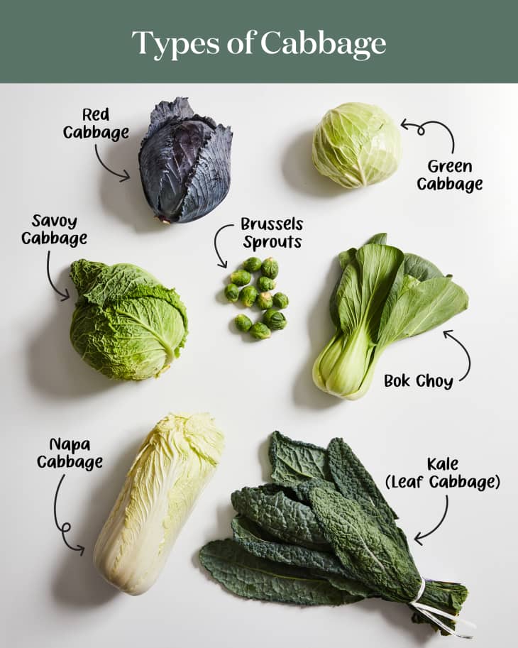 Red cabbage, green cabbage, brussels sprouts, savoy cabbage, napa cabbage, bok choy, and kale labeled on a white surface