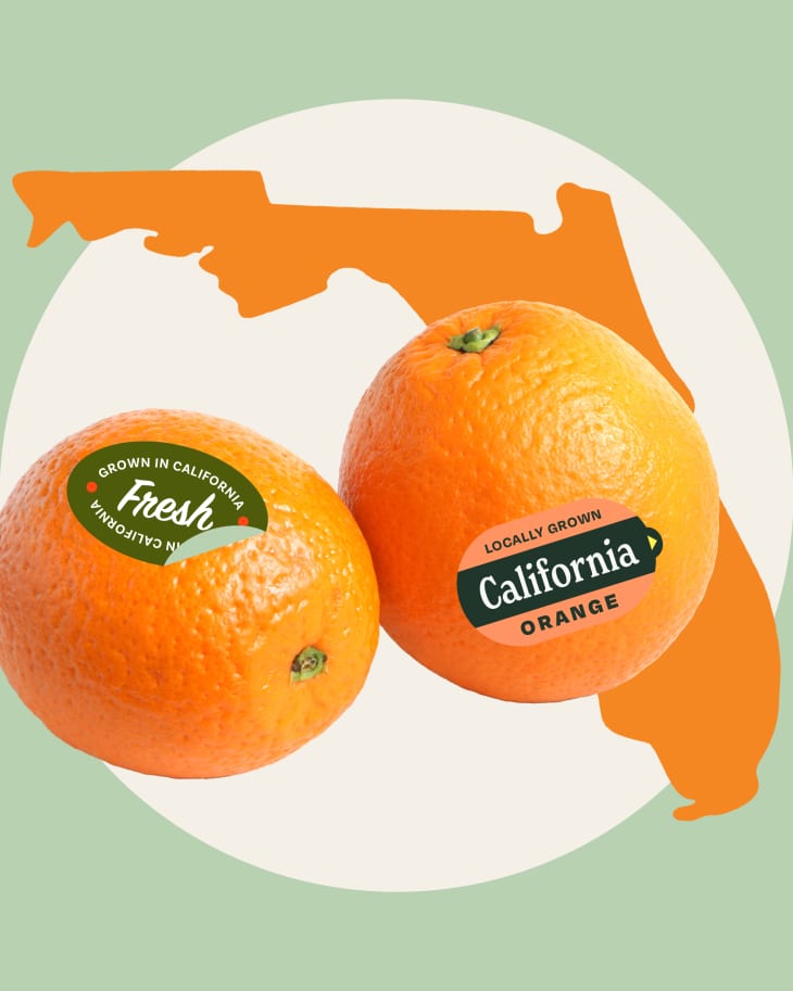graphic collage of two oranges with California stickers on them over the shape of Florida
