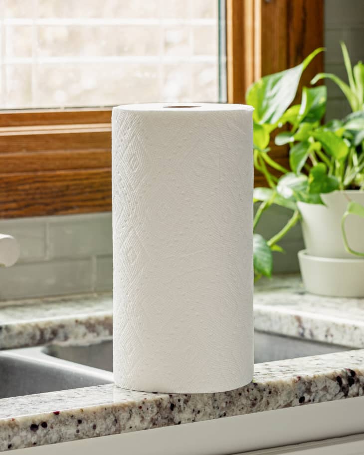 https://cdn.apartmenttherapy.info/image/upload/f_auto,q_auto:eco,c_fill,g_center,w_730,h_913/k%2FEdit%2FKitchn-2020-Paper-Towel-Storage-2-cropped