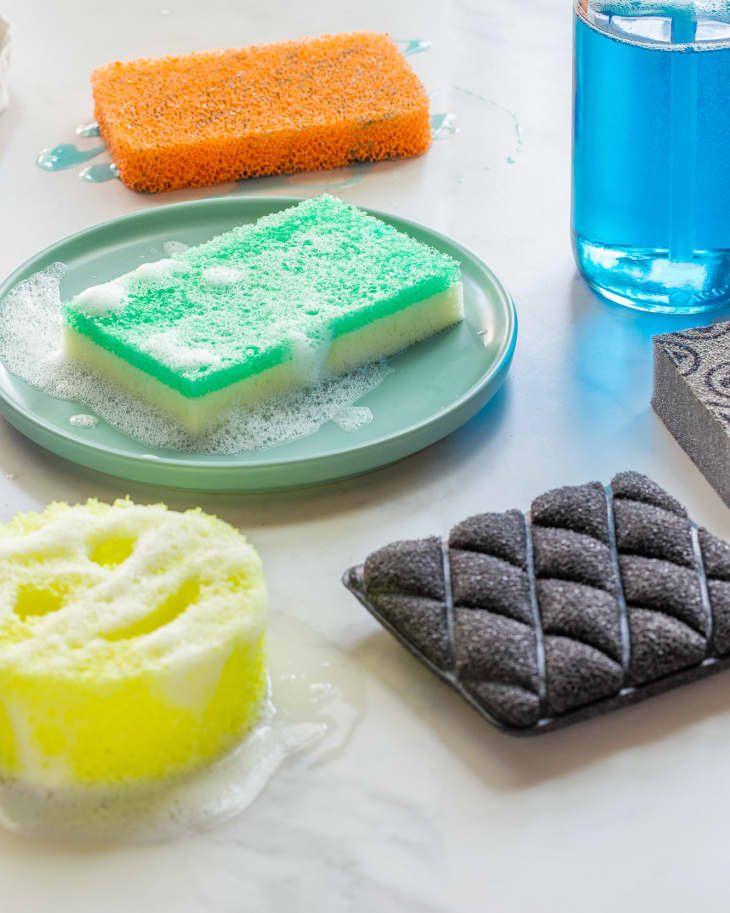 Variety of sponges on countertop.