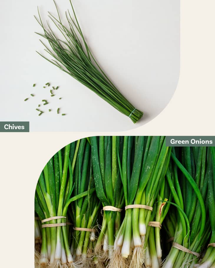 Green Onions vs. Chives vs. Shallots - Evolving Table