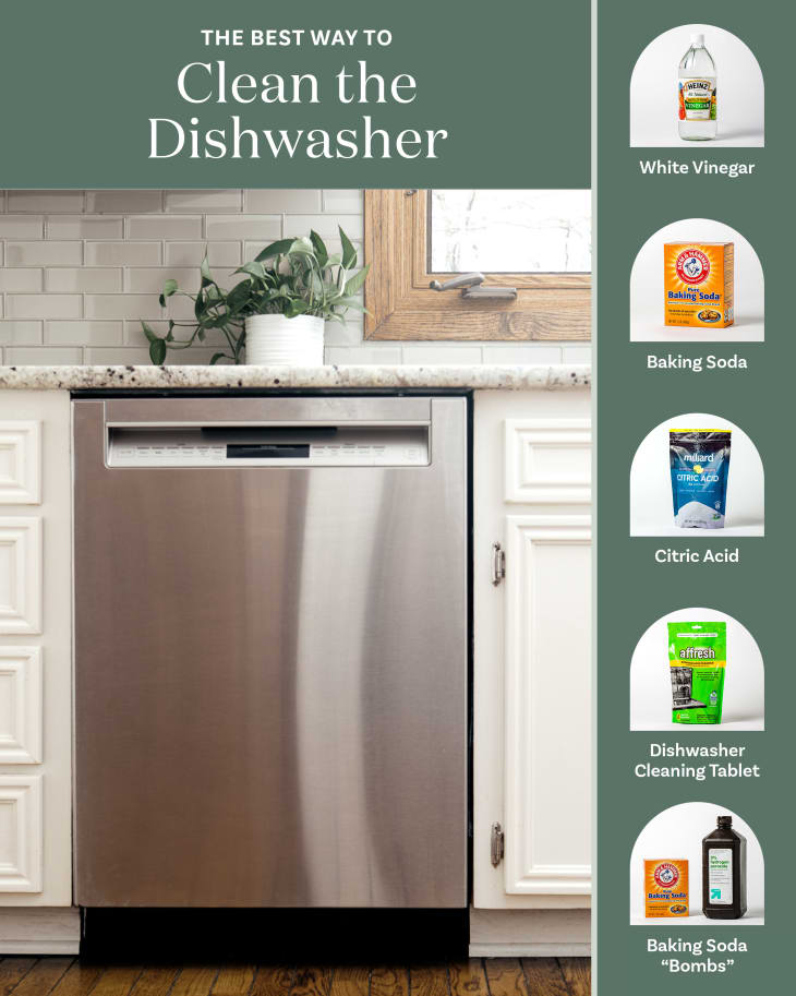 The Best Way to Clean a Dishwasher (Tested & Approved)