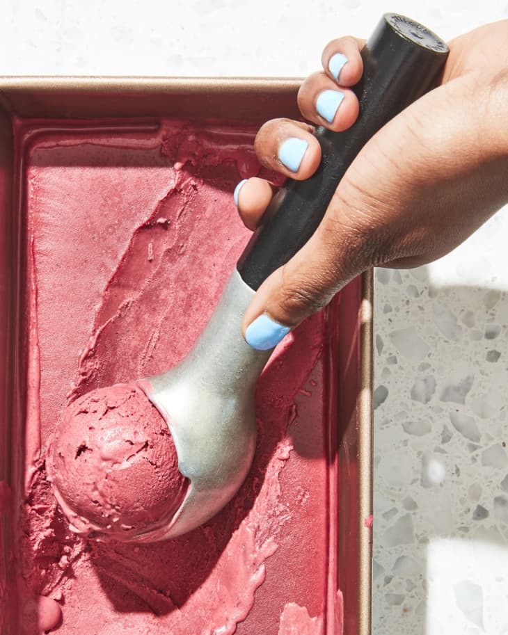 Hibiscus Sherbet Recipe (No-Churn) | The Kitchn