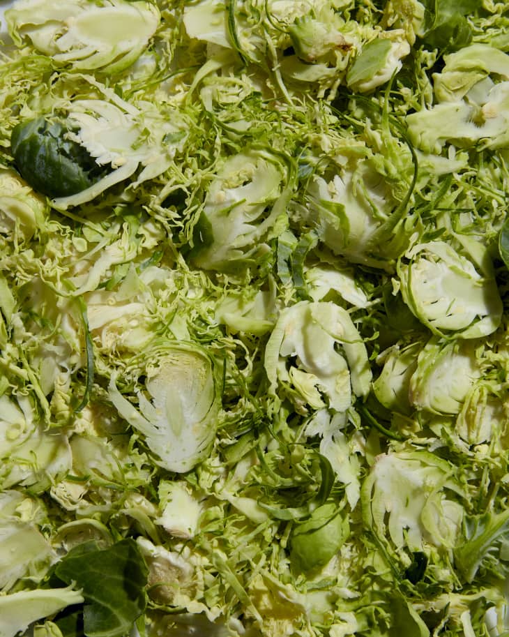close up of sprouts