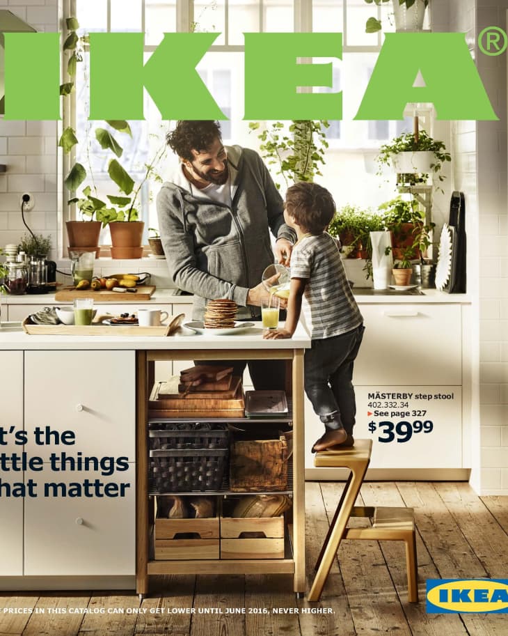 40 Reasons Your Kitchen Wants You to Shop IKEA's New 2016 ...