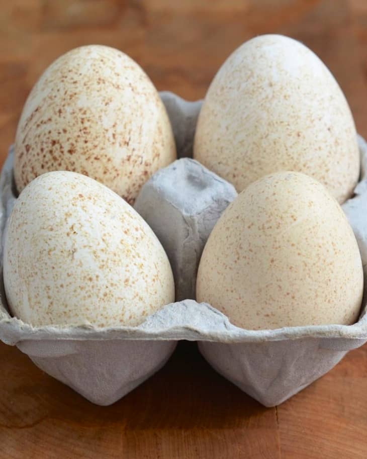 Duck and/or Turkey Egg Cartons (6 eggs)