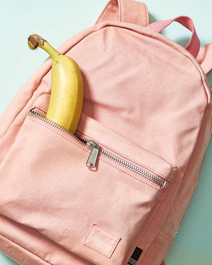 grove xs ash rose velvet 13.5l mini backpack Amazon.com | Herschel Nova Backpack, Rose, 9L The original backpack made mini Herschel Supply Co. Classic Mini