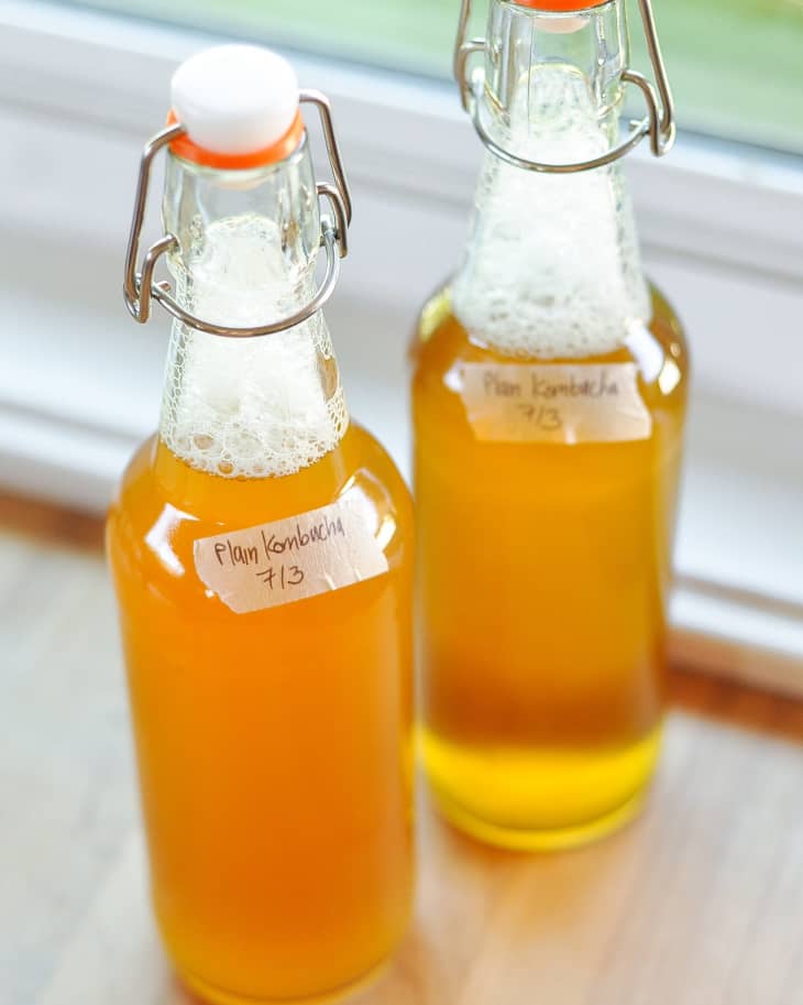 Two bottles of kombucha, with a sticker label "Plain Kombucha 7/3" on it