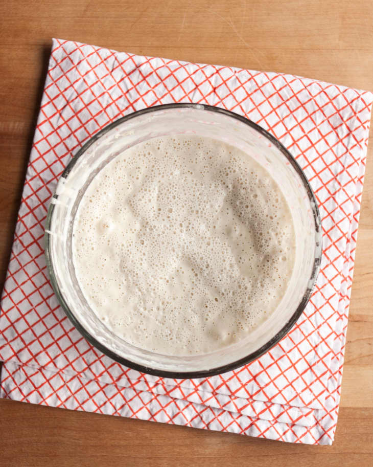 Sourdough starter in a bowl set on a printed napkin