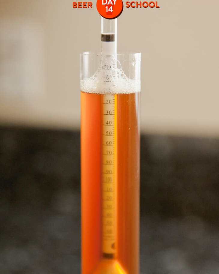 Specific Gravity Hydrometer Beer Hydrometer Alcohol Meter Alcohol Measuring  Tool