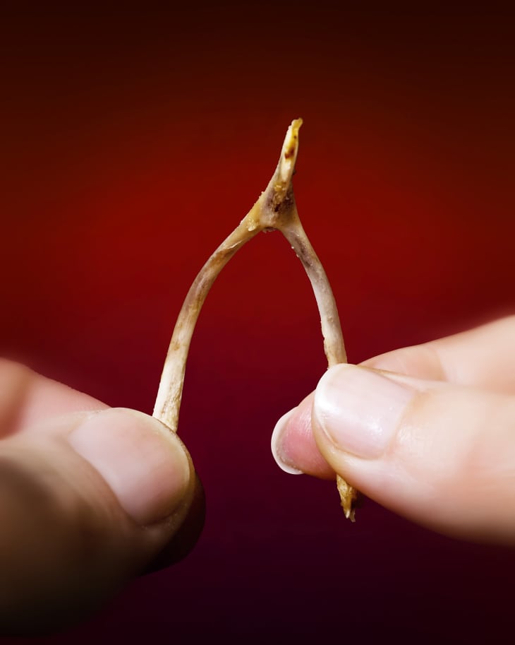 What’s a Wishbone, and Why Do We Crack It? The Kitchn