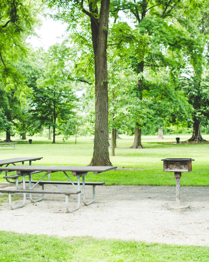 An Illustrated History of the Picnic Table