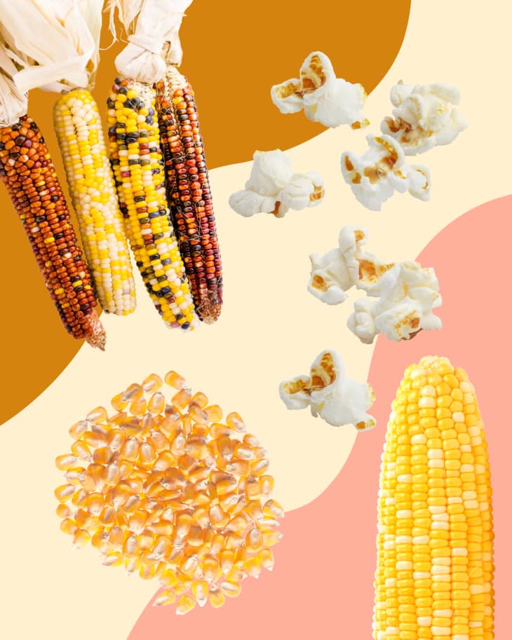 Types of Corn A Guide to the 3 Main Kinds The Kitchn