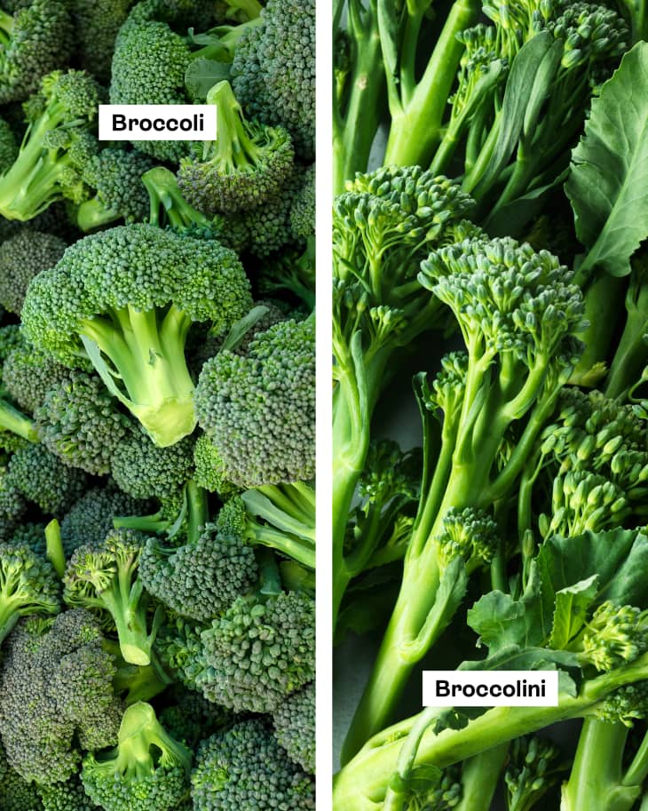 Chinese broccoli sales