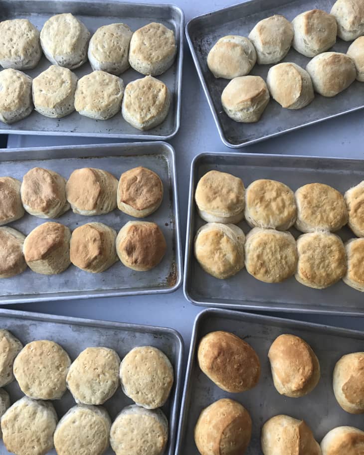 Best Canned Biscuits Brands 2023 The Kitchn