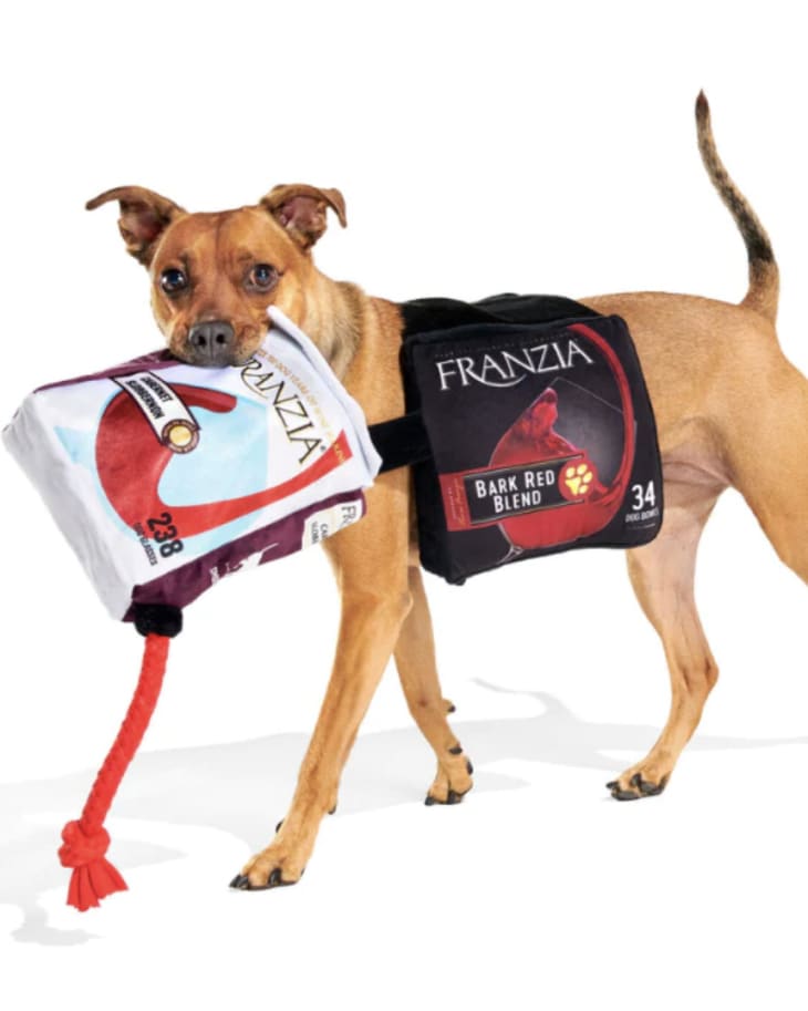 Franzia's Newest Boxed Wine Costume Was Made for Your Dog The Kitchn