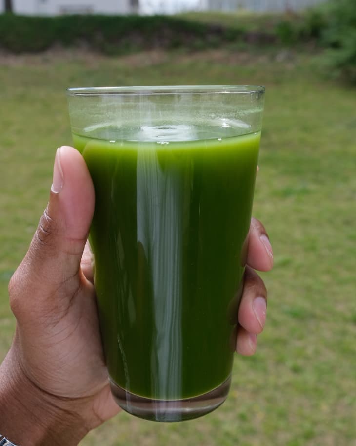 Martha Stewart's Green Juice Recipe is My GoTo Morning Drink The Kitchn