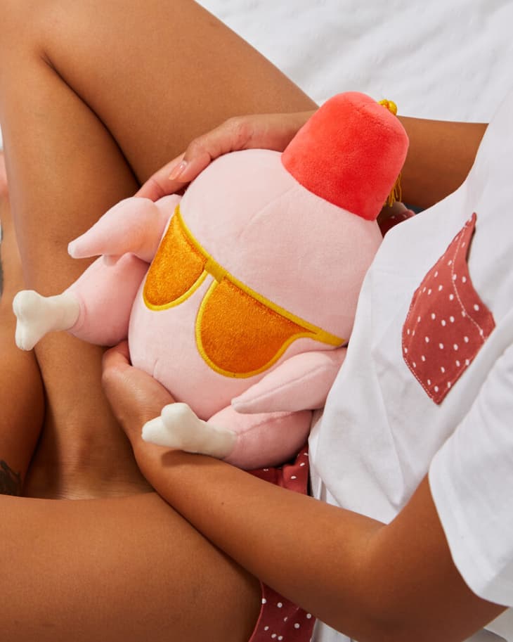 This Turkey Pillow Looks Just Like the Turkey from Friends The Kitchn
