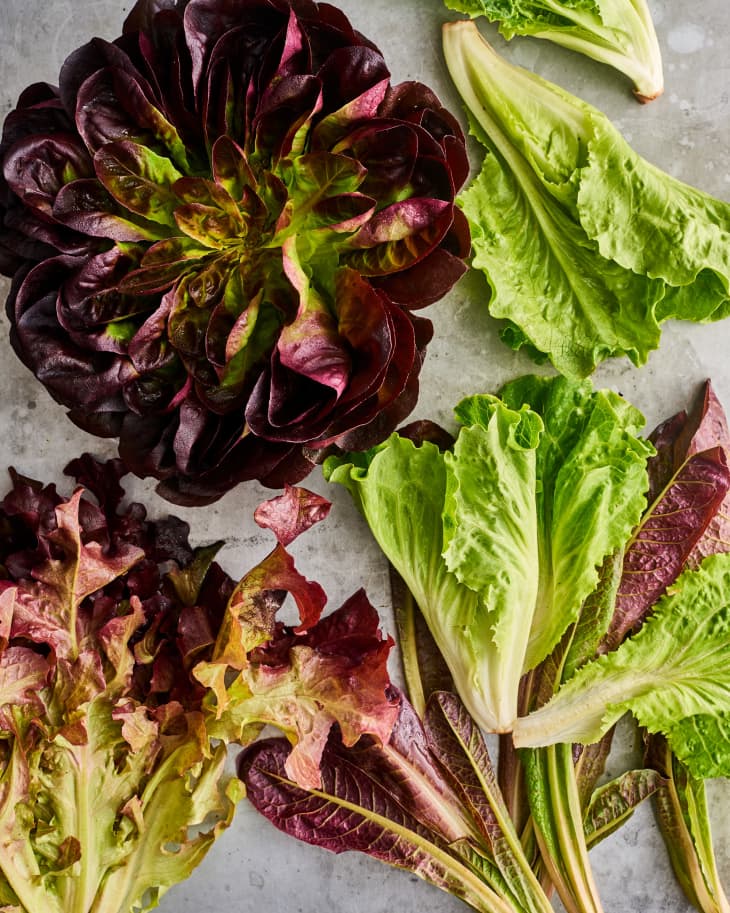Is Bitter Lettuce Safe to Eat? Easy Tips for Enjoying Bitter Lettuce