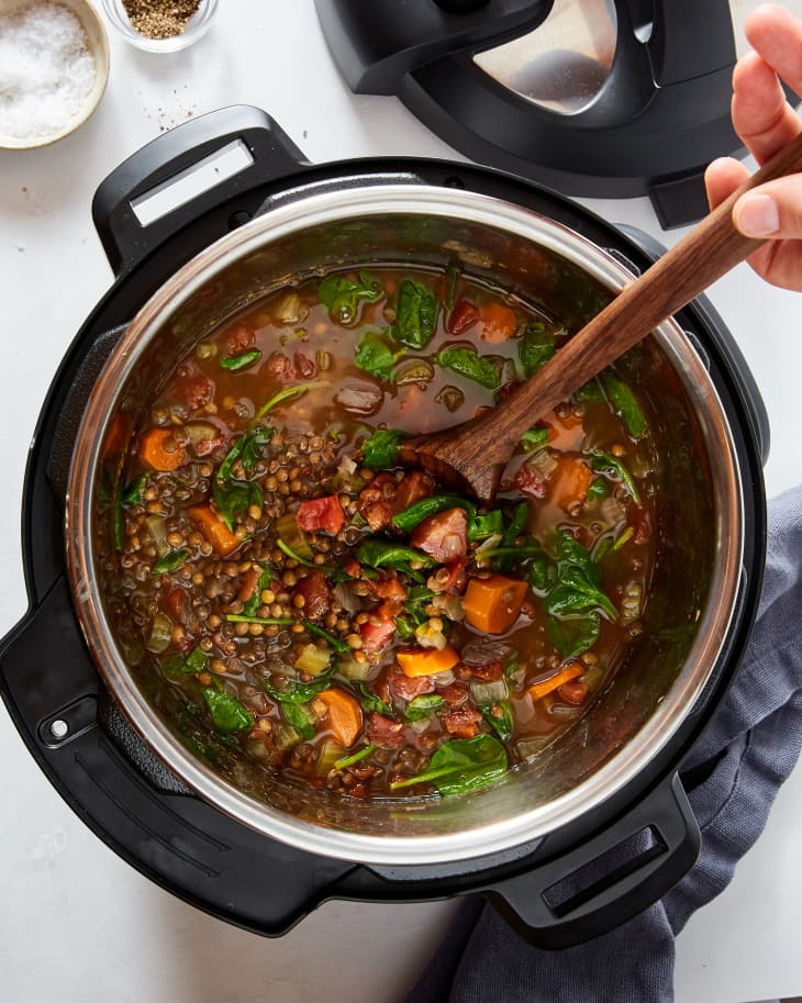 Instant pot best sale duo vegetarian recipes