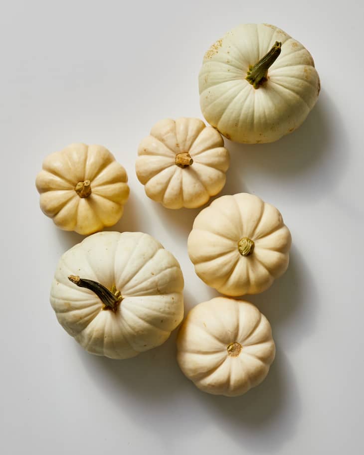 White Pumpkins Are — and You Can Eat Them Too The Kitchn