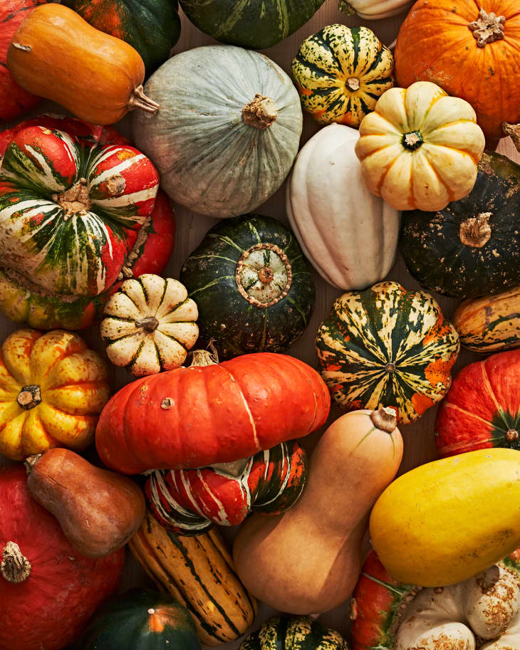 Winter squash shop