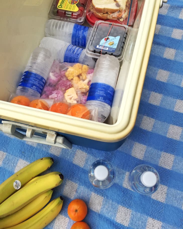 Ice meal cooler discount