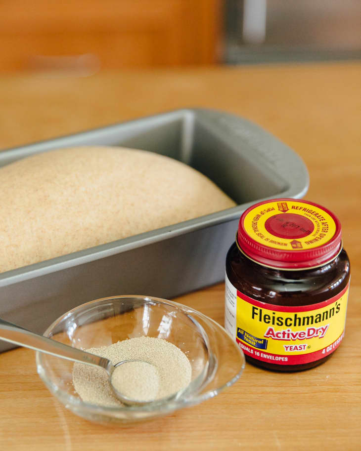 The Science Behind Yeast and How It Makes Bread Rise The Kitchn