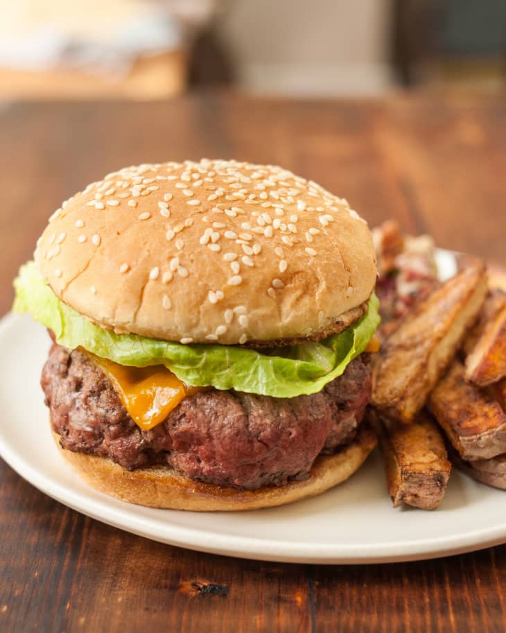 Is hamburger meat sales good for dogs