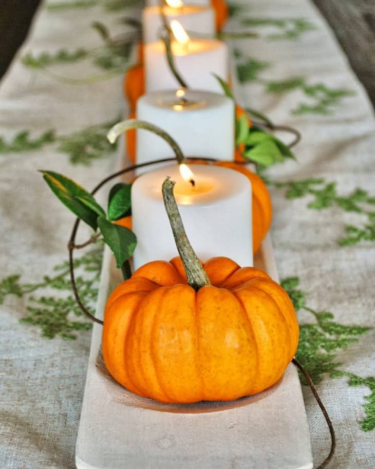 Mini shop pumpkins decor