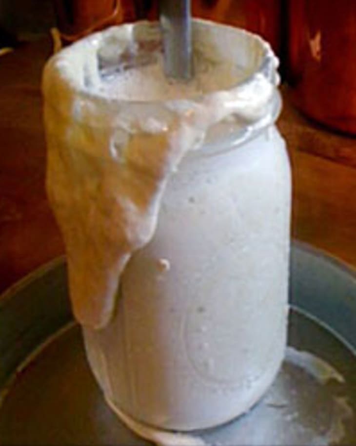 Help! What To Do With an OverActive Starter? Good Questions The Kitchn