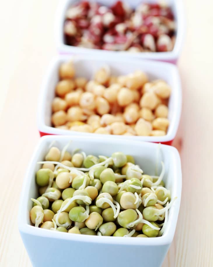 Sprouting Beyond Grains Yes, You Can Sprout Nuts, Seeds & Beans The Kitchn