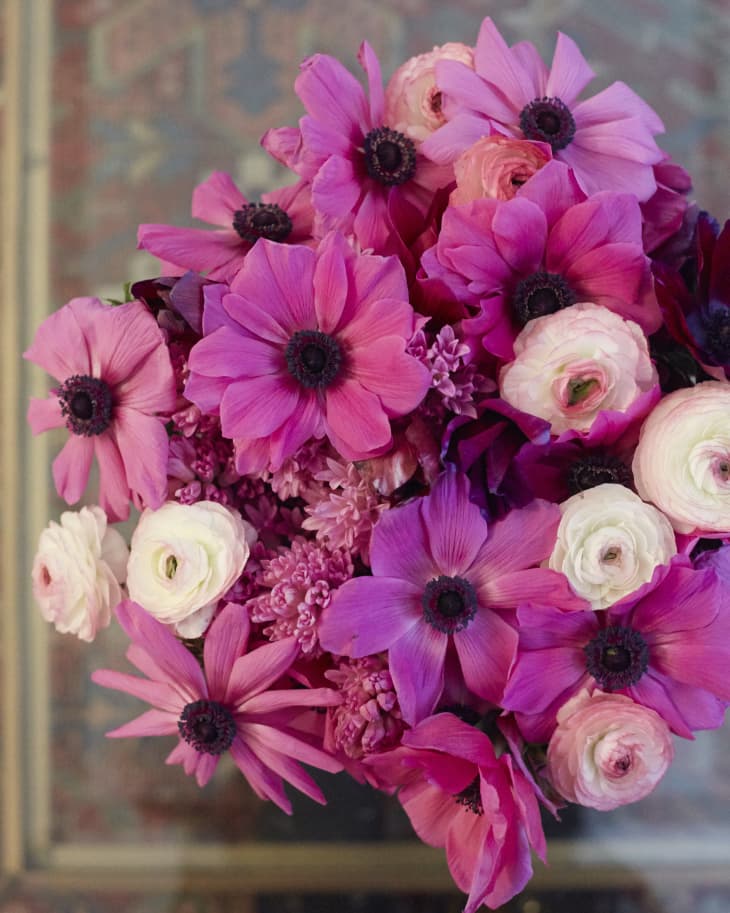 7 Flowers That Are Better than Roses The Kitchn