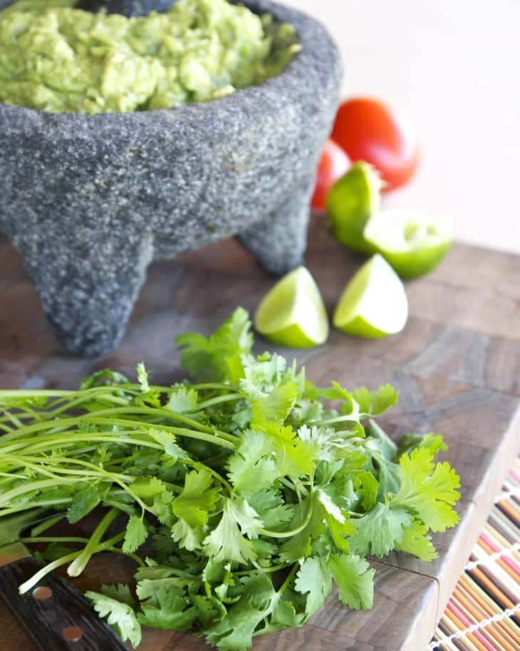 The Best Way to Store Cilantro The Kitchn