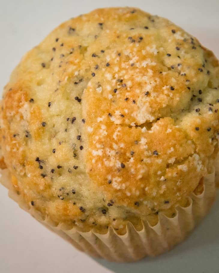 CDC Ticks on a Poppy Seed Muffin Photo Twitter The Kitchn