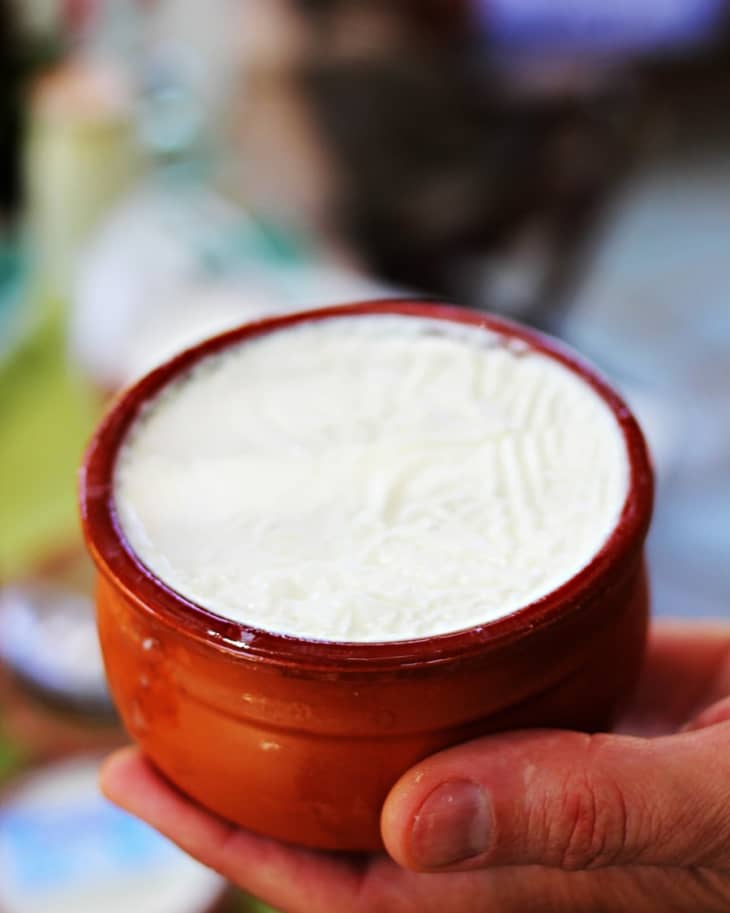 If You Love Yogurt, Then It’s Time to Explore Its Global Culture The Kitchn